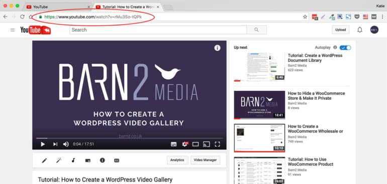 Where to find YouTube URL for WordPress video gallery - How to Create a WordPress Video Gallery